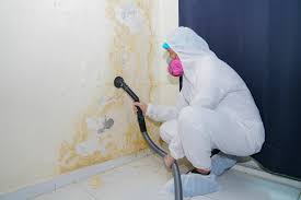 Mold Documentation for Insurance Claims in Port Chester, NY